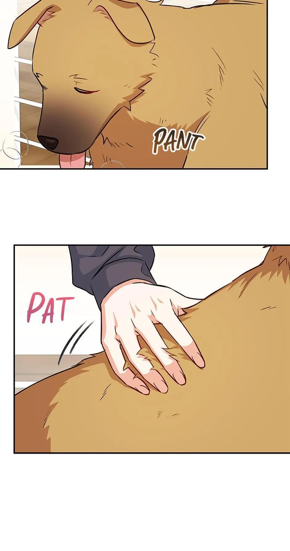 Hello! Veterinarian! - Chapter 17