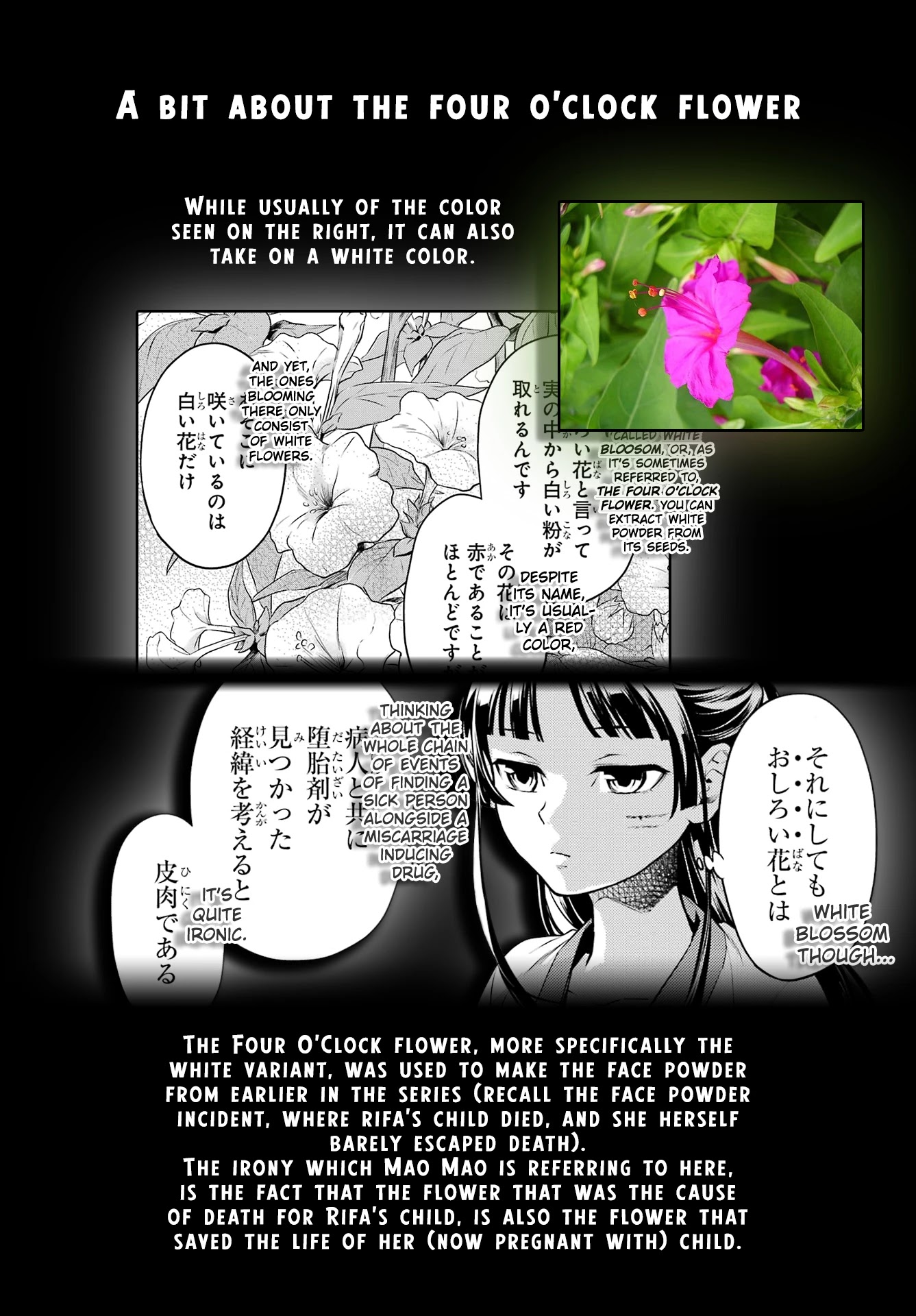 Kusuriya No Hitorigoto - Chapter 52.2: Third Time's The Charm (Part 4)