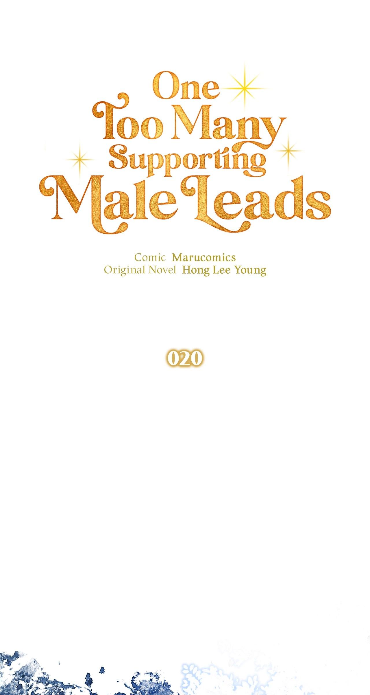 There Are Too Many Second Male Leads! - Chapter 20