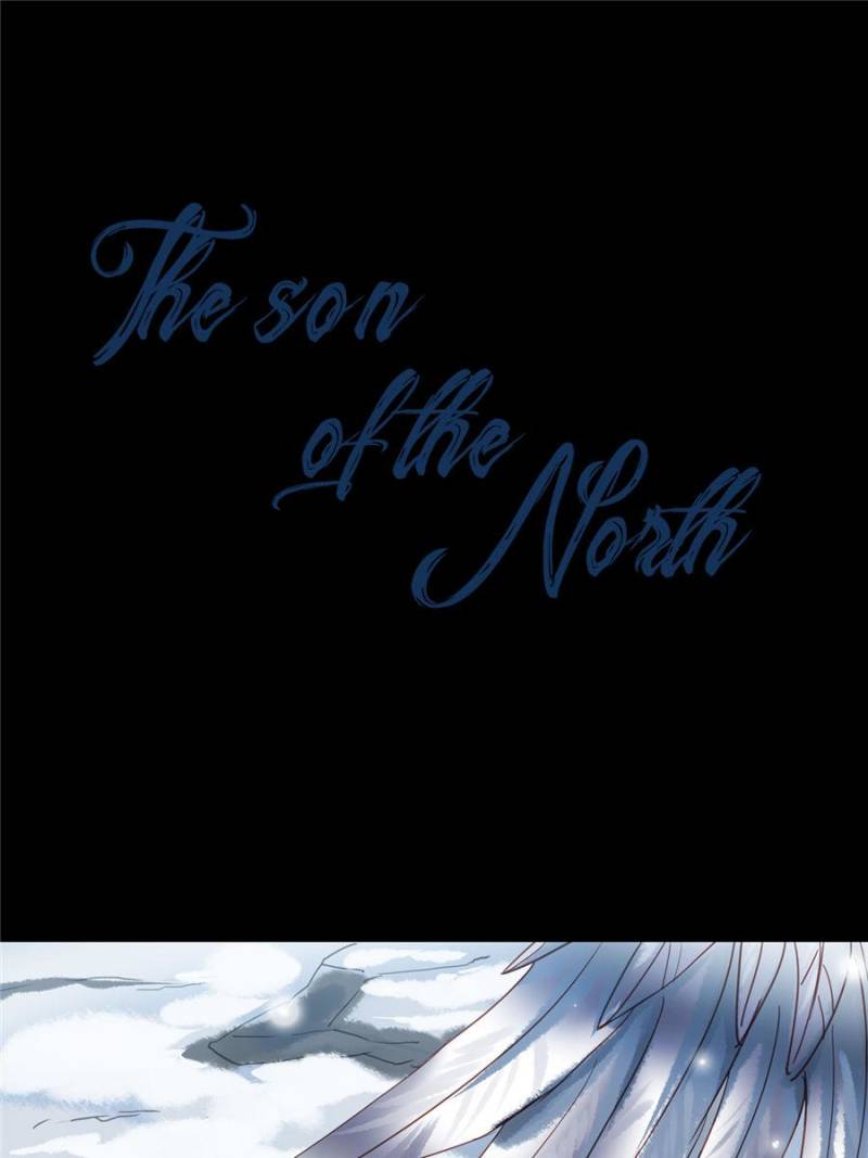 The Son Of The North - Chapter 17