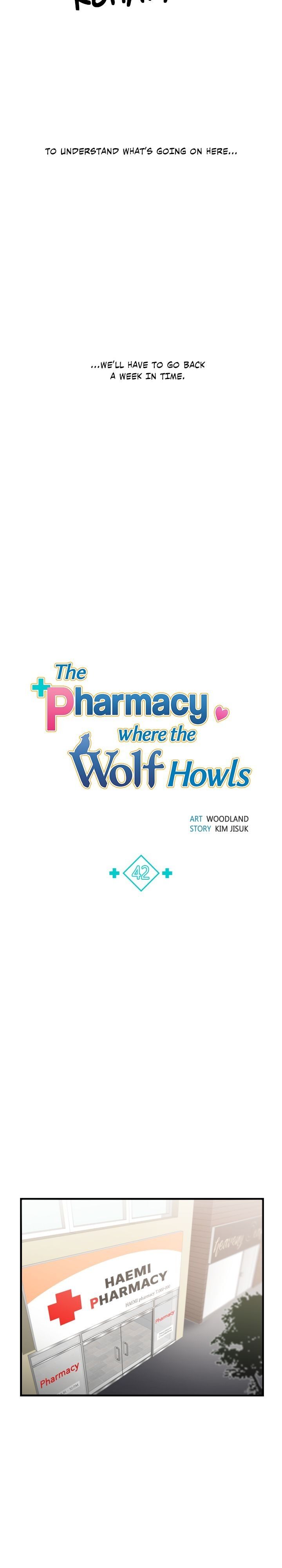 The Pharmacy Where The Wolf Howls - Chapter 42