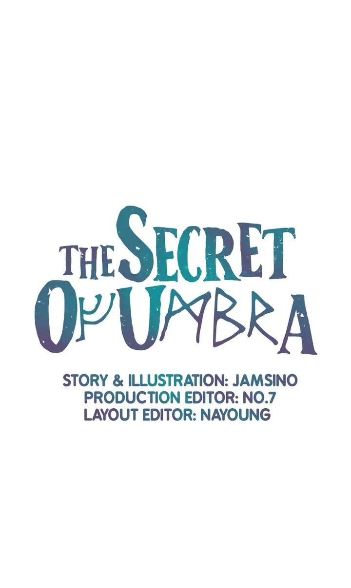 The Secret Of Umbra - Chapter 13