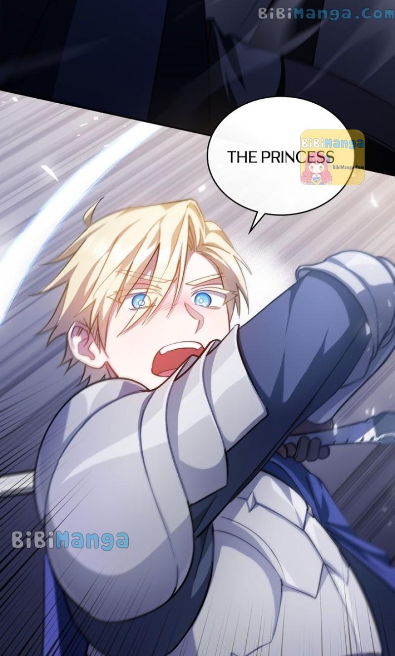 The Deviless’s Impression Of A Princess - Chapter 2.5