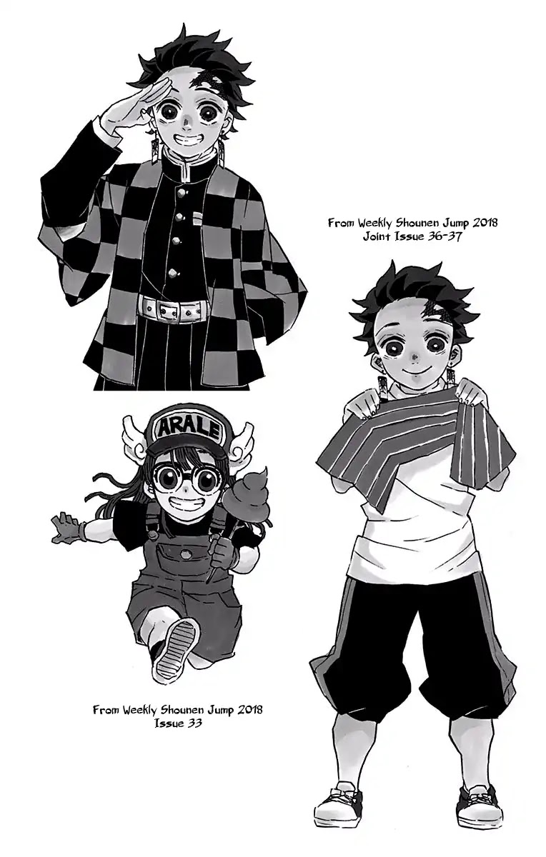 Kimetsu No Yaiba - Chapter 115.5: Extra