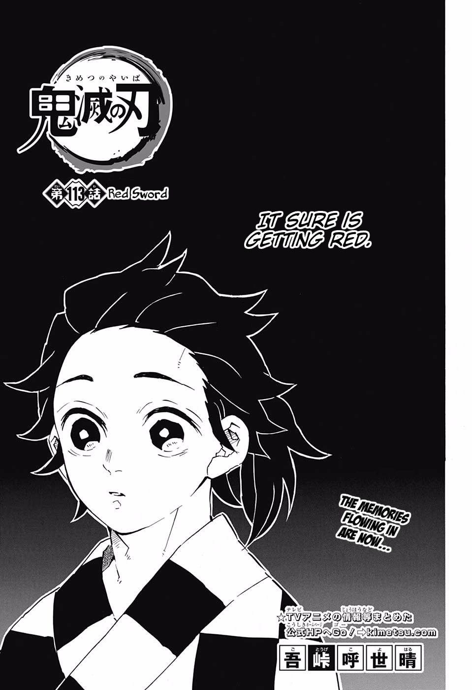 Kimetsu No Yaiba - Chapter 113: Red Sword