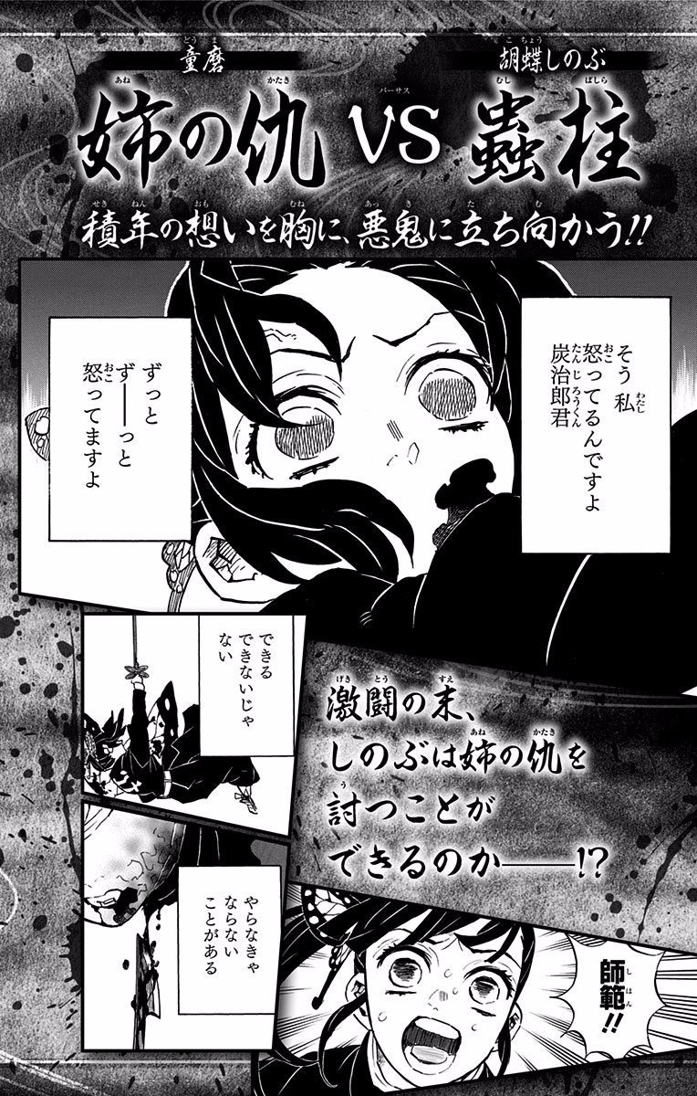 Kimetsu No Yaiba - Chapter 142.5: Extras