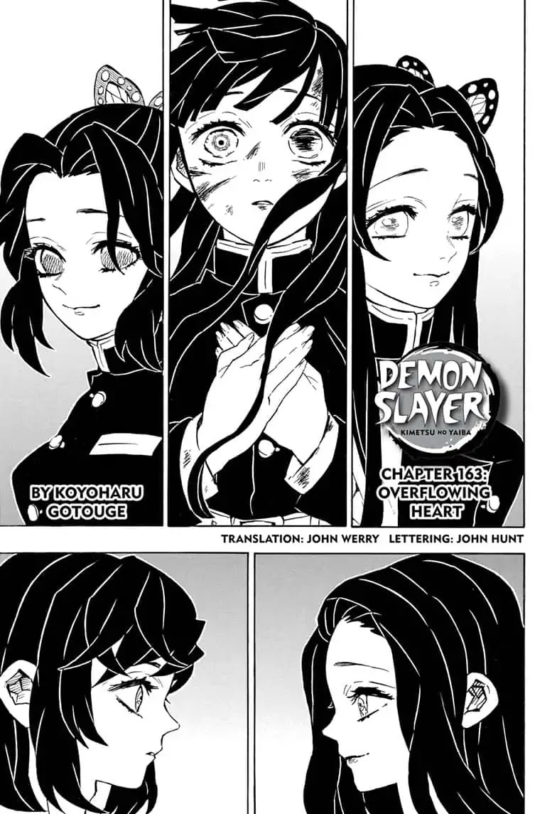 Kimetsu No Yaiba - Chapter 163: Overflowing Heart