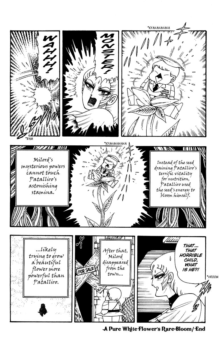 Patalliro! - Vol.7 Chapter 24: A Pure White Flower S Rare Bloom