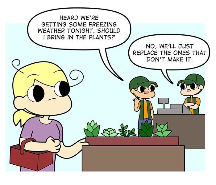 Doodle For Food - Chapter 85 : Seedlings