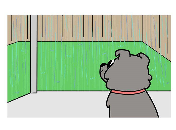 Doodle For Food - Chapter 173 : Rainy Day