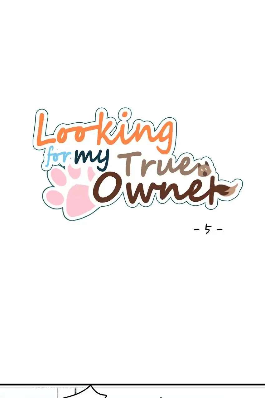 Looking For My True Owner - Chapter 5