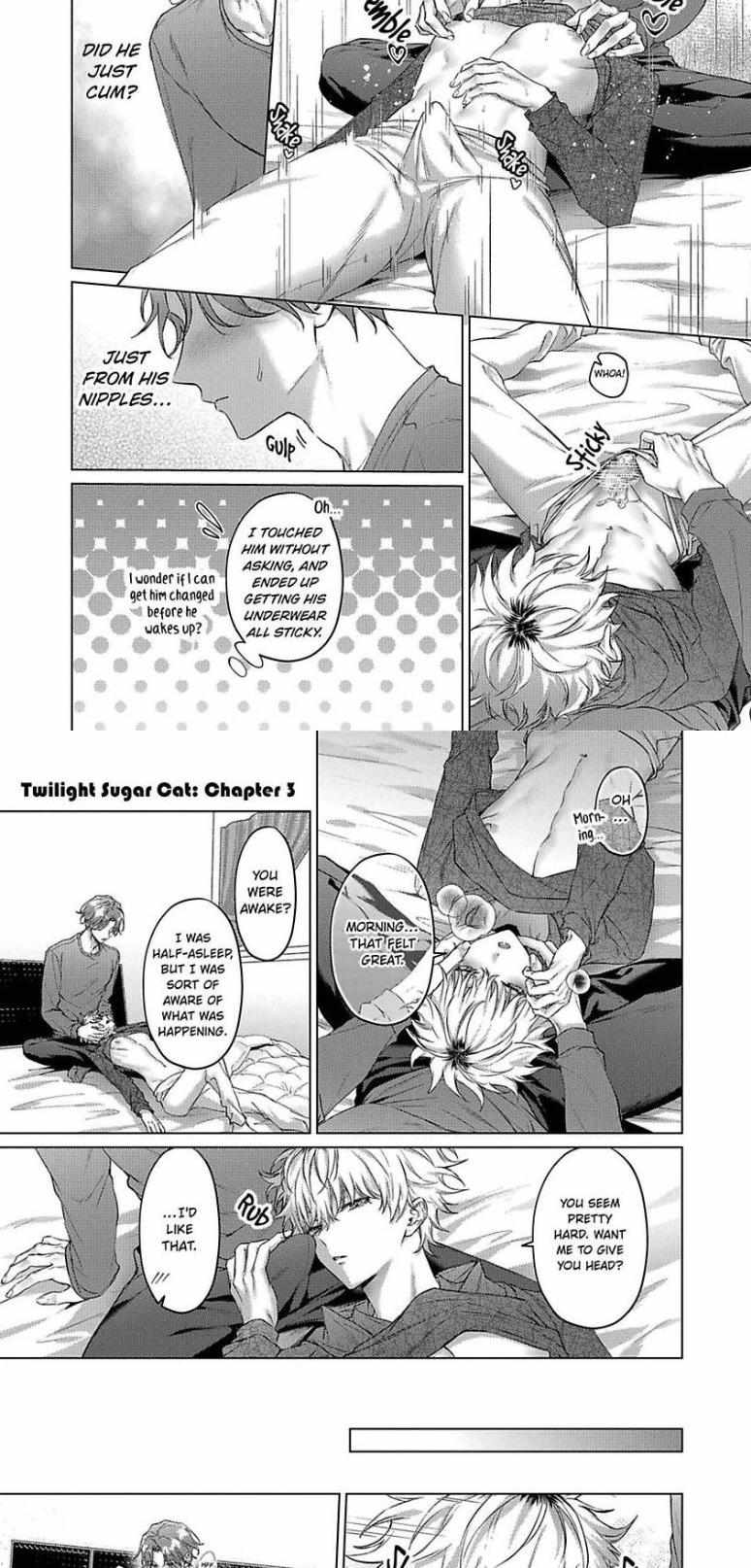 Twilight Sugar Cat - Chapter 4