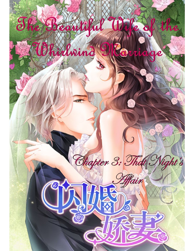 The Beautiful Wife Of The Whirlwind Marriage - Chapter 3