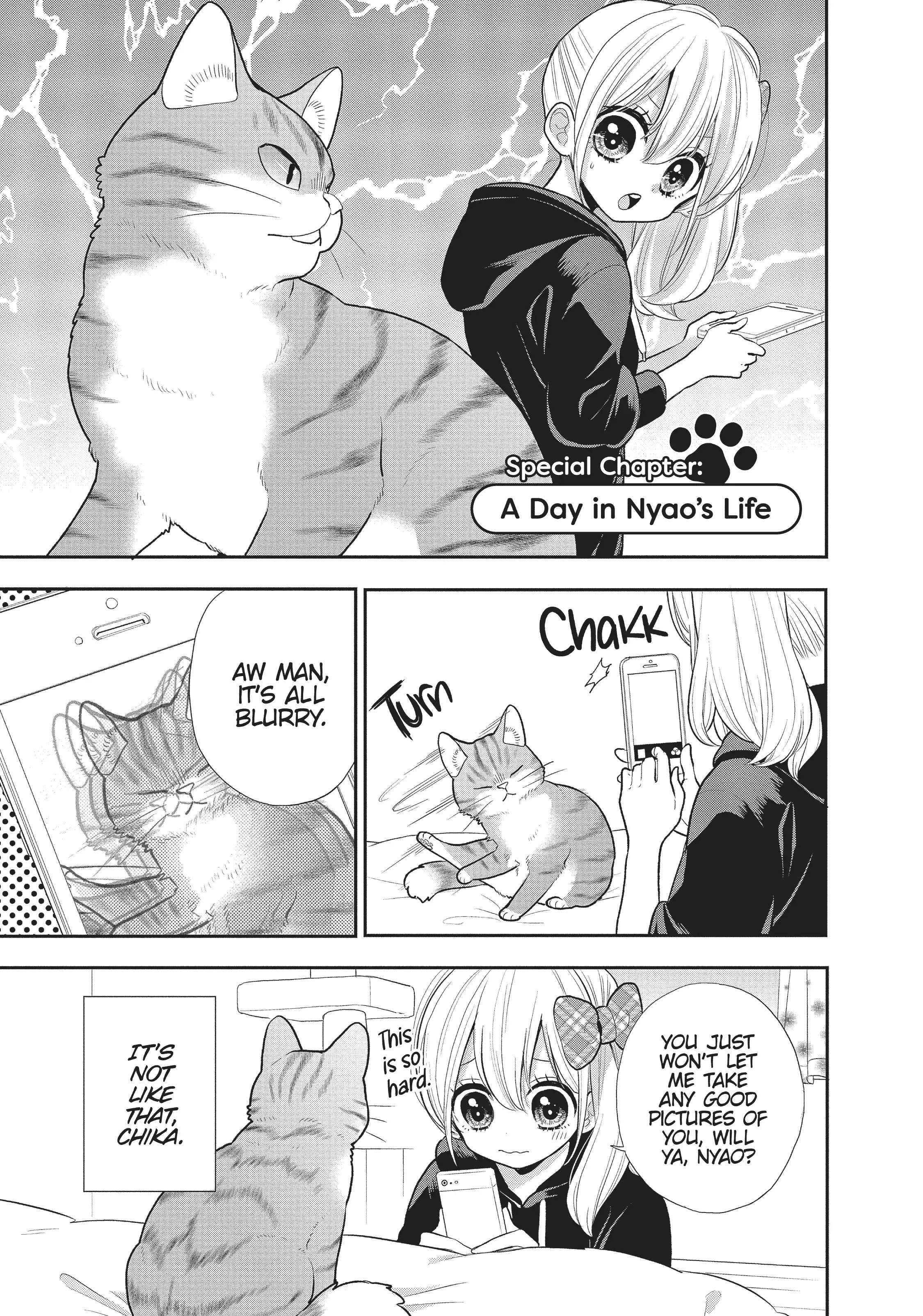 My New Life As A Cat - Chapter 10.5