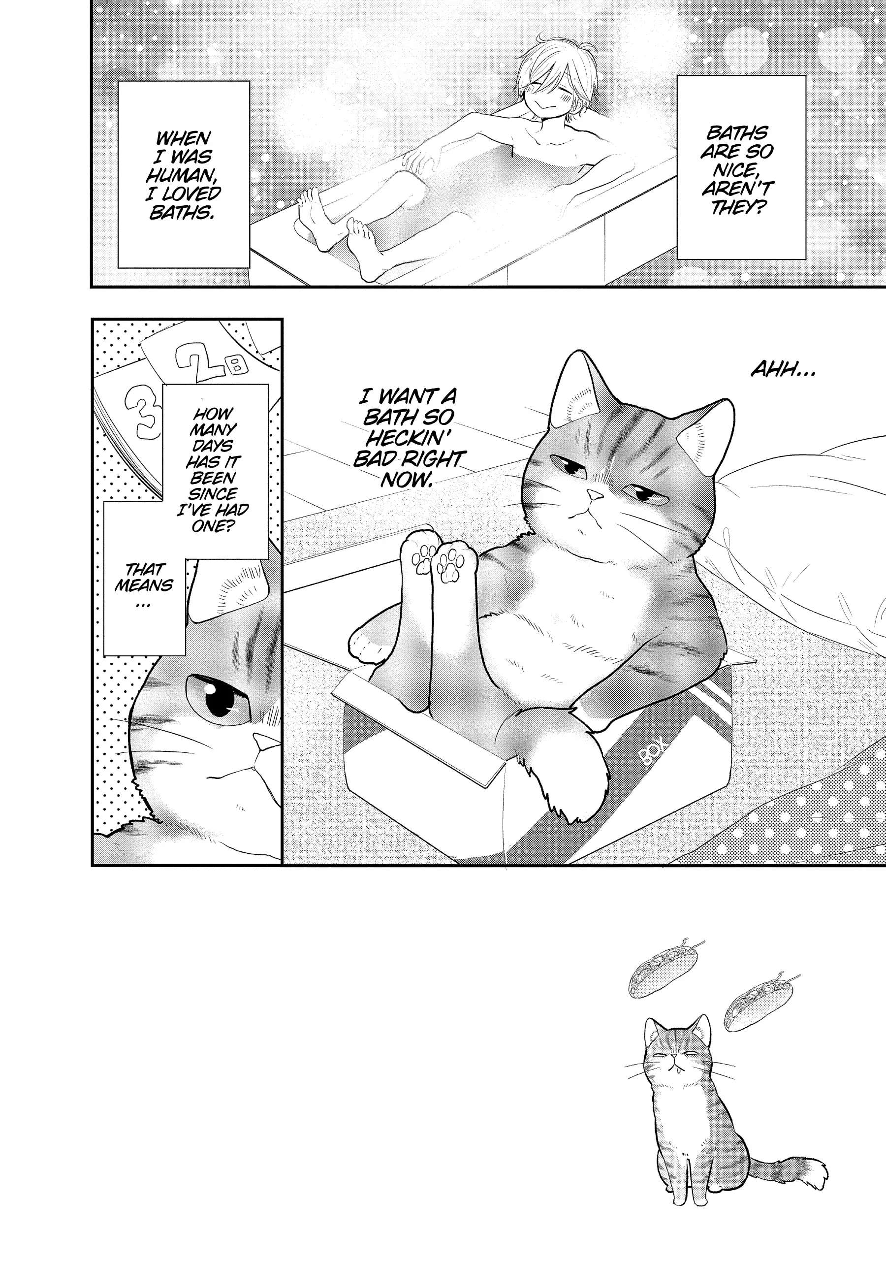 My New Life As A Cat - Chapter 16