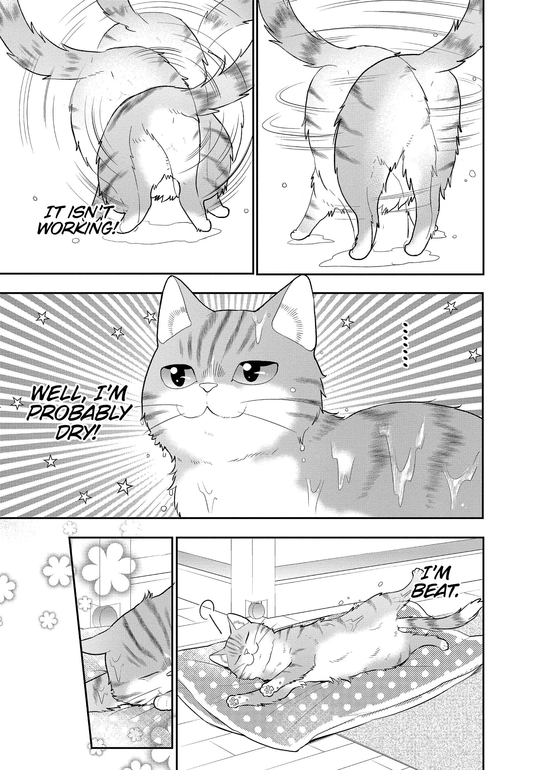 My New Life As A Cat - Chapter 16