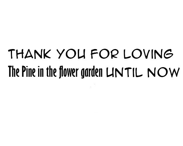 Pine In The Flower Garden - Chapter 60