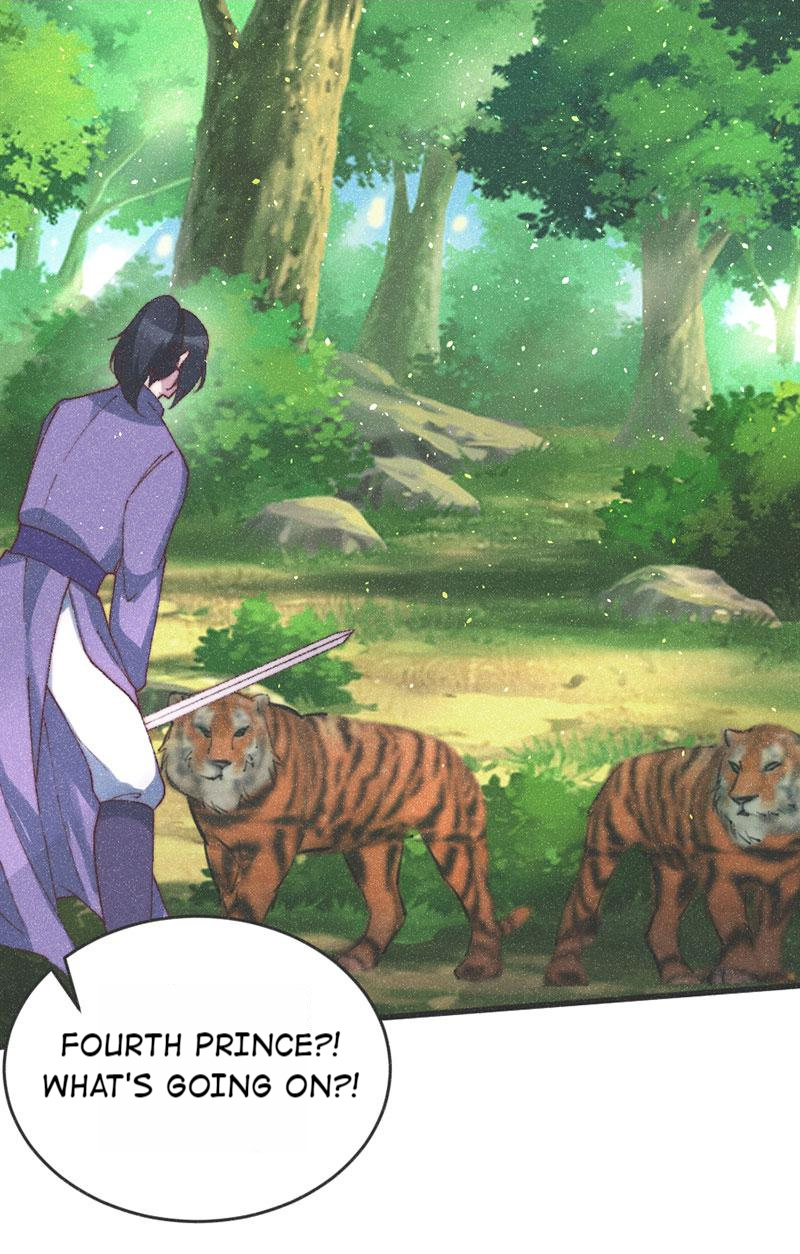 The Princess Doctor’s Revenge - Chapter 60: The Prince Defeats Tigers