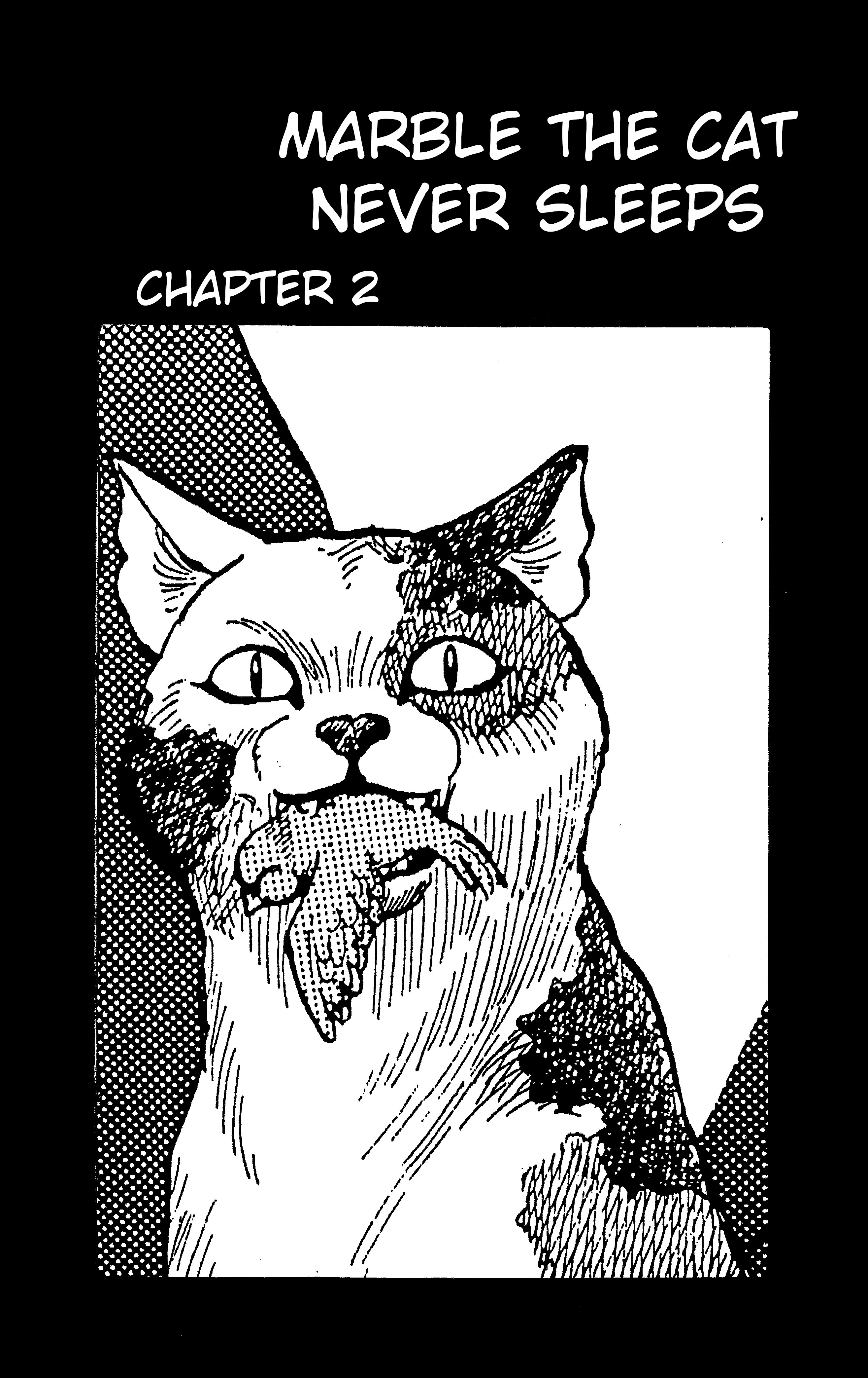 Dark Cat - Vol.1 Chapter 2: Marble The Cat Never Sleeps