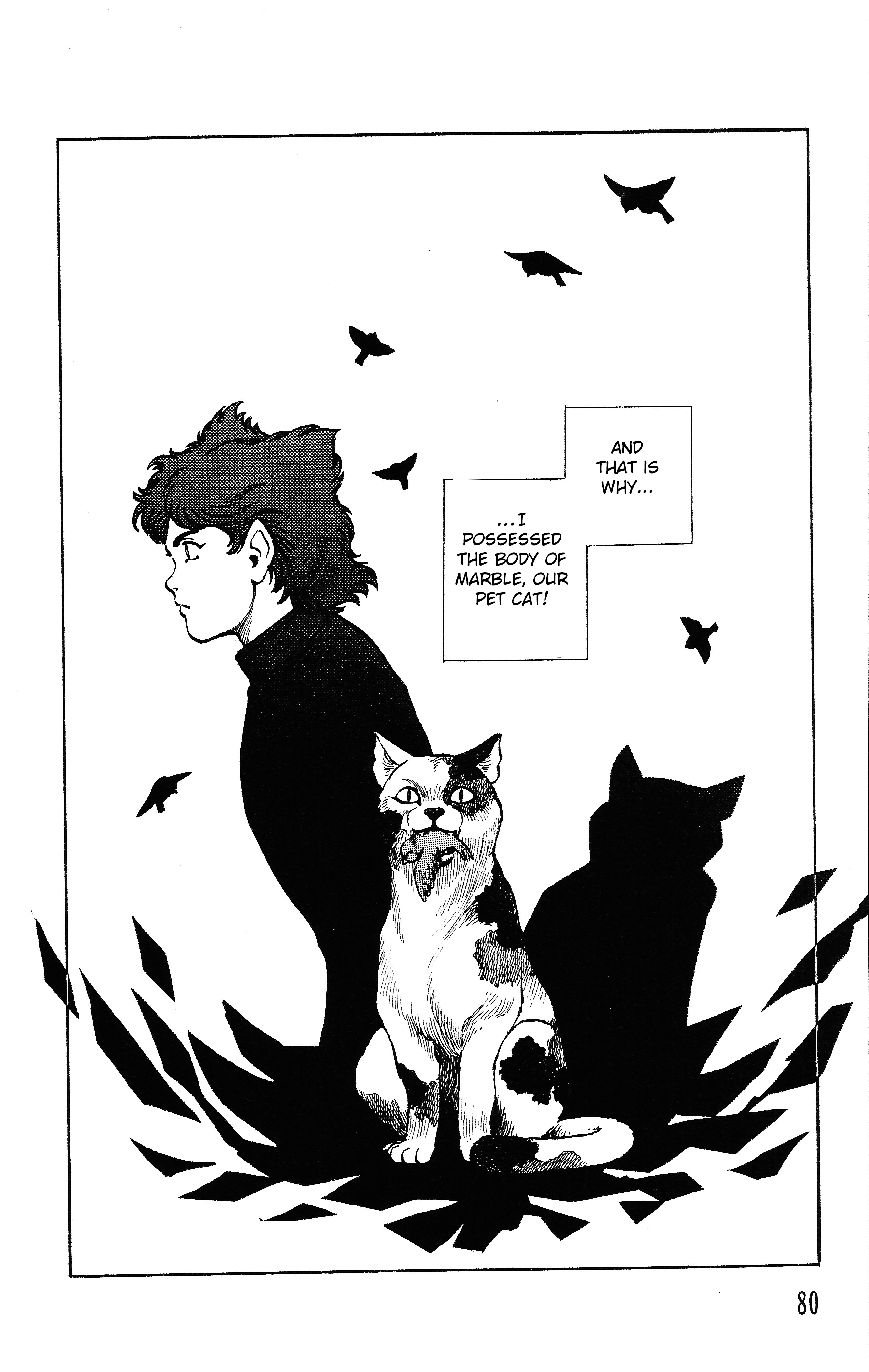 Dark Cat - Vol.1 Chapter 2: Marble The Cat Never Sleeps