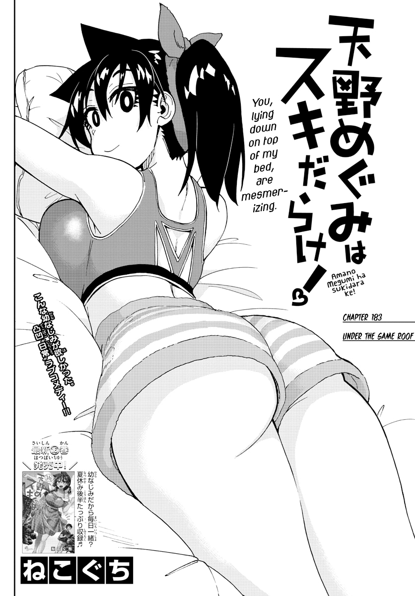 Amano Megumi Wa Suki Darake! - Chapter 183: Under The Same Roof