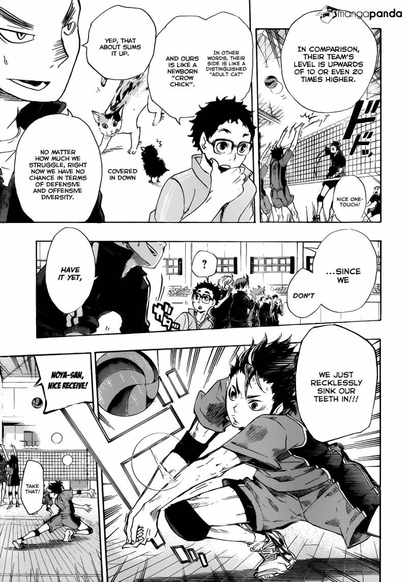 Haikyuu!! - Chapter 32 : An Adult Cat And A Crow Chick