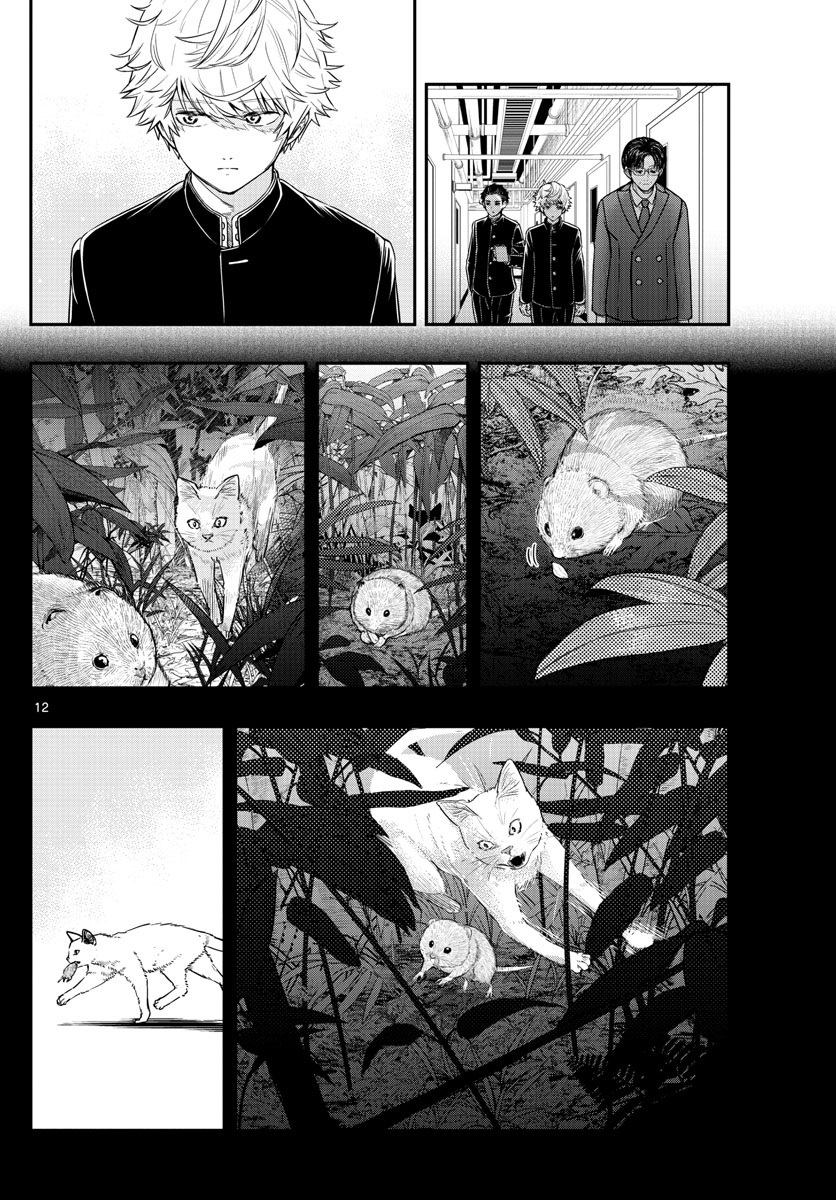 Last Karte - Houjuuigakusha Touma Kenshou No Kioku - Vol.2 Chapter 7: Grey-Sided Vole Part 2