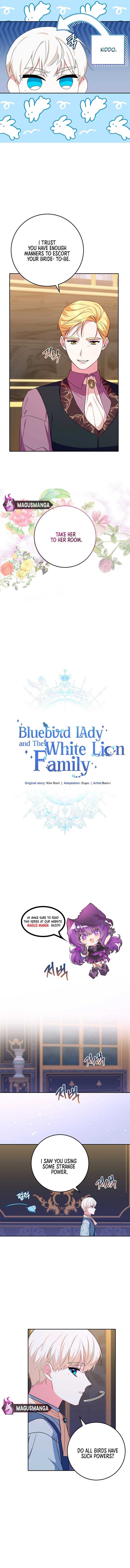 Bluebird Lady And The White Lion Family - Chapter 9