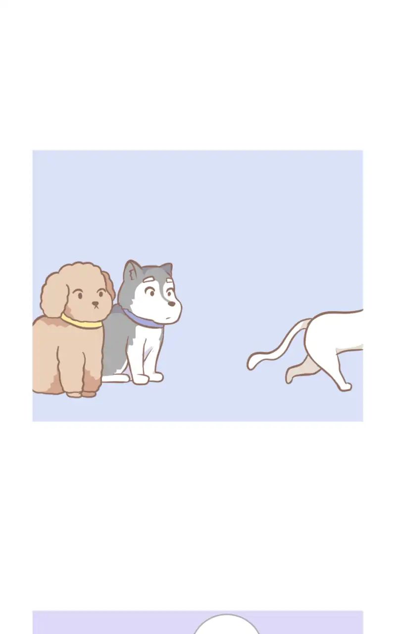 Small World - Chapter 226: Ep.226: Dog Meets Cat