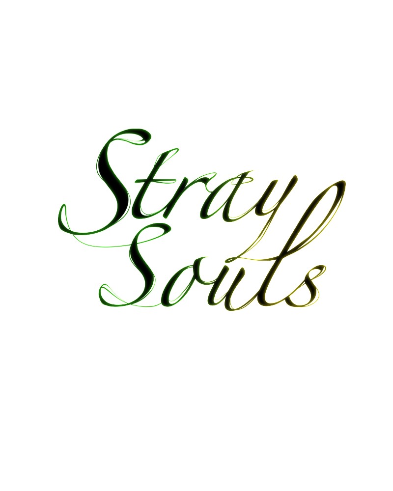 Stray Souls - Chapter 4