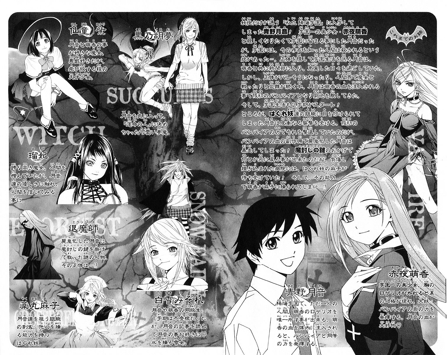 Rosario To Vampire - Vol.7 Chapter 25 : Scar