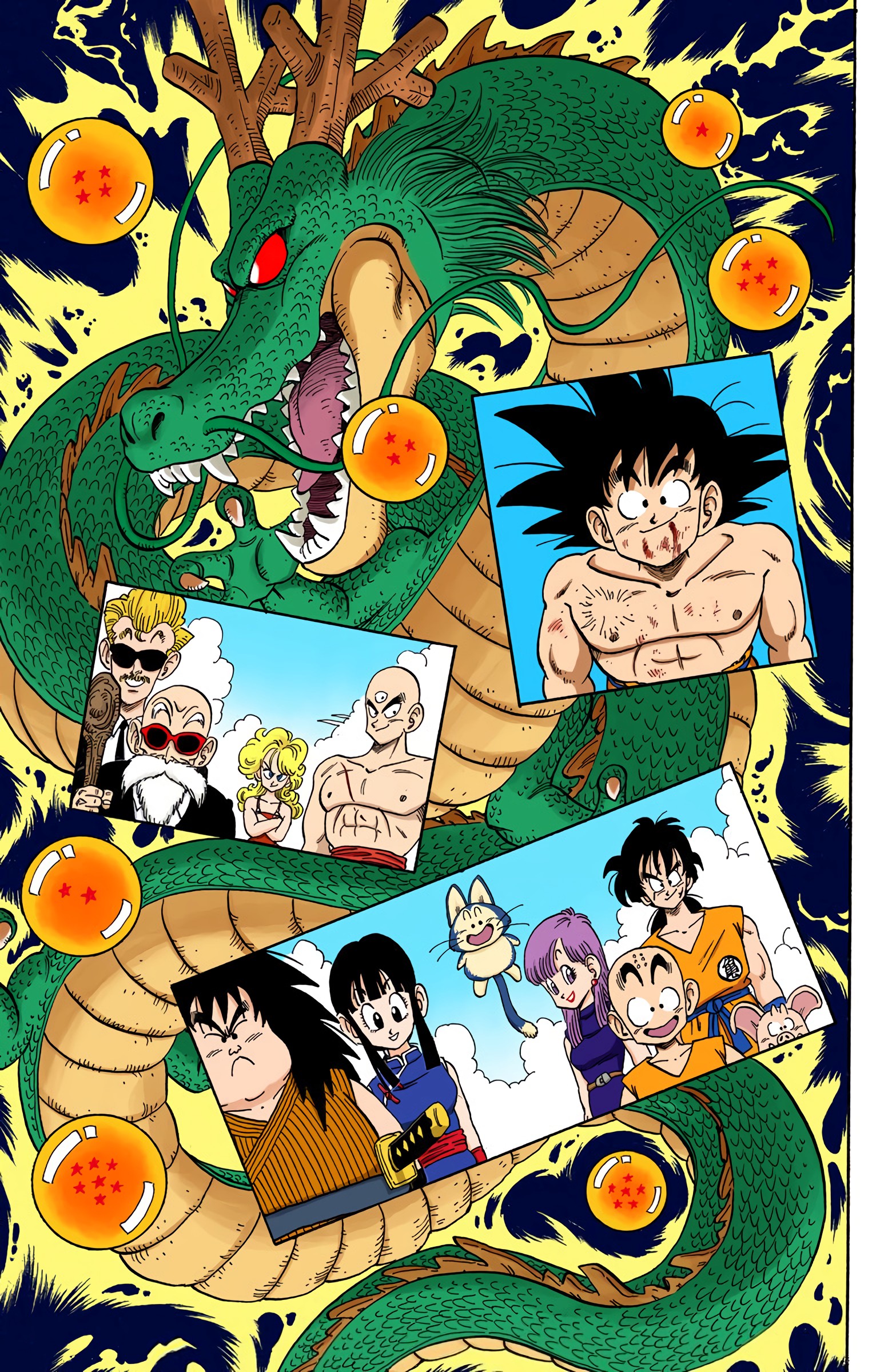 Dragon Ball - Full Color Edition - Vol.16 Chapter 194: The Gift Of The Dragon Balls