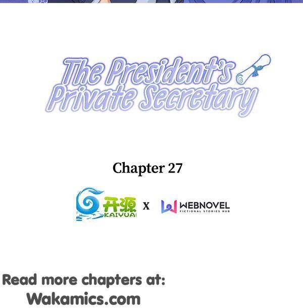 The President’s Private Secretary - Chapter 27