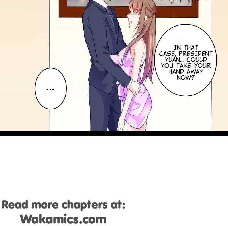 The President’s Private Secretary - Chapter 27