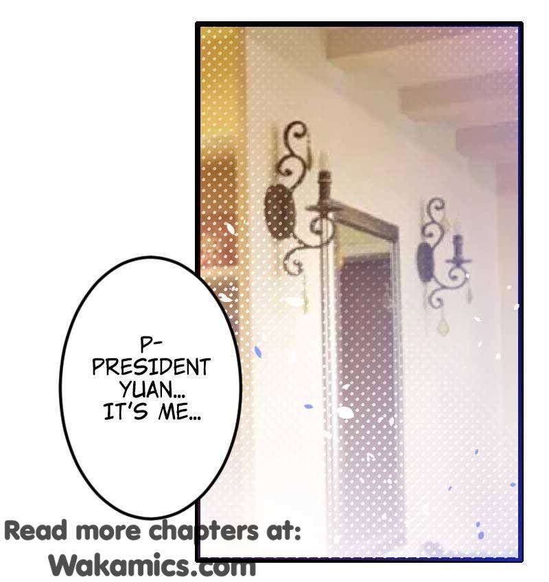 The President’s Private Secretary - Chapter 28