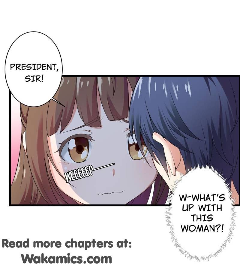 The President’s Private Secretary - Chapter 11