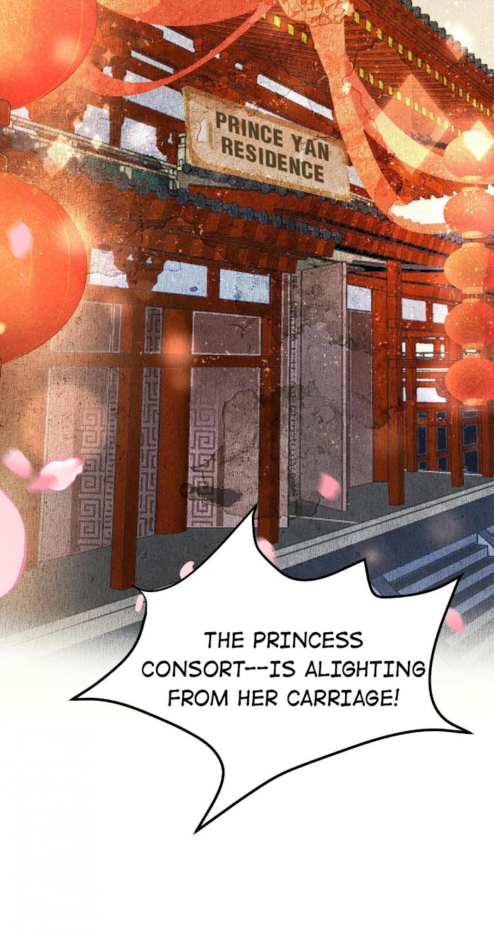 This Princess Consort Is A Man - Chapter 4 : Wedding Night