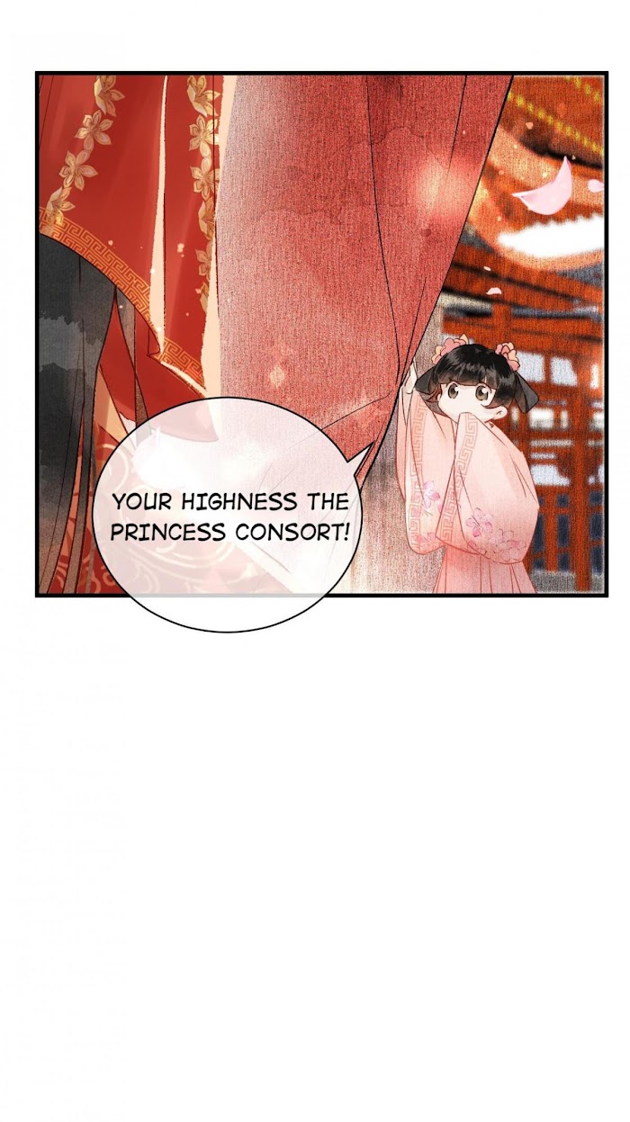 This Princess Consort Is A Man - Chapter 4 : Wedding Night