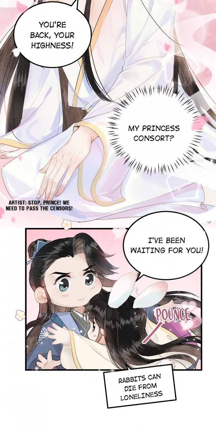 This Princess Consort Is A Man - Chapter 9 : The Protector In The Shado.