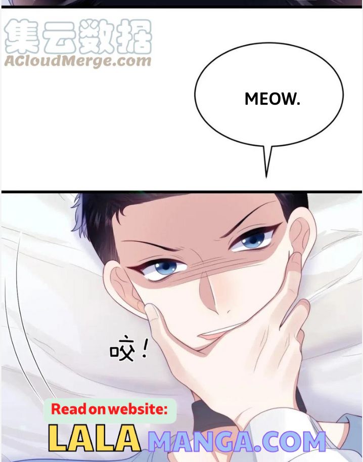 A Wild Cat Likes To Sleep With Me - Chapter 40