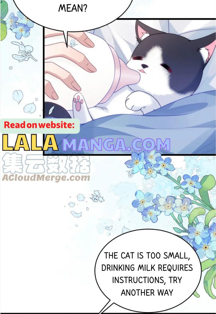 A Wild Cat Likes To Sleep With Me - Chapter 68