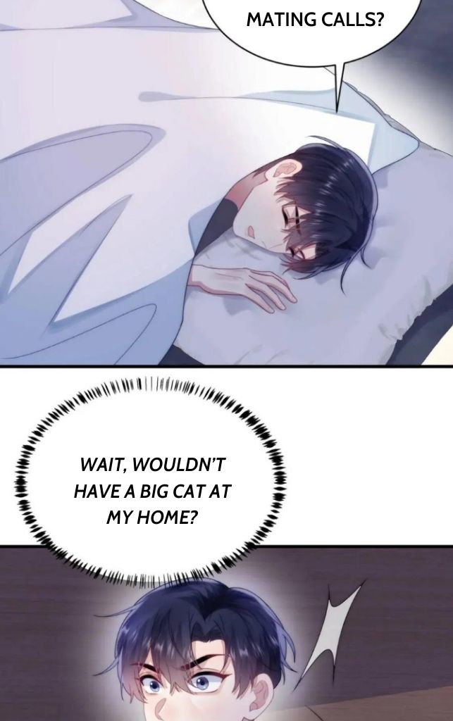 A Wild Cat Likes To Sleep With Me - Chapter 28