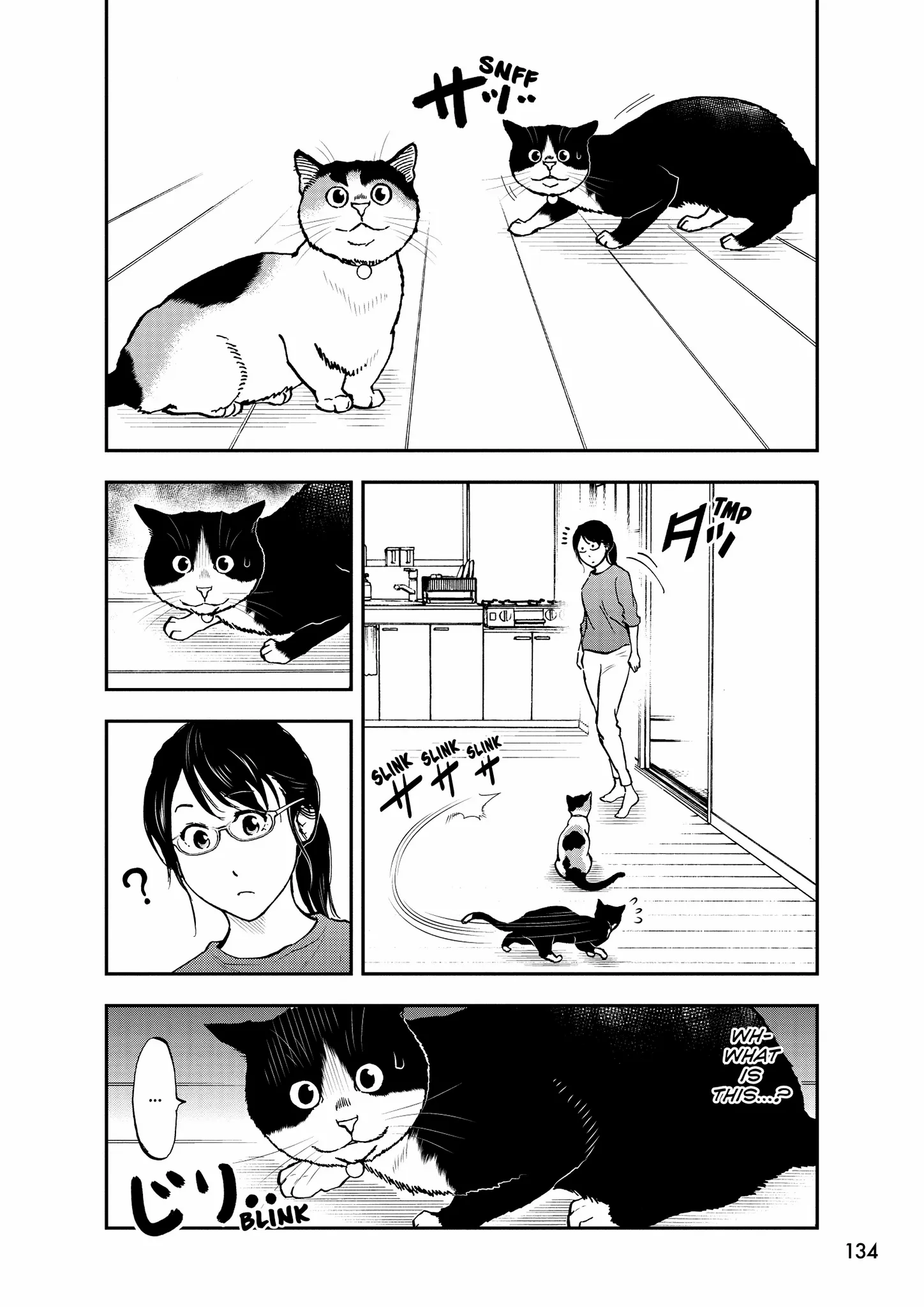 A Gamer Living With A Cat - Chapter 65