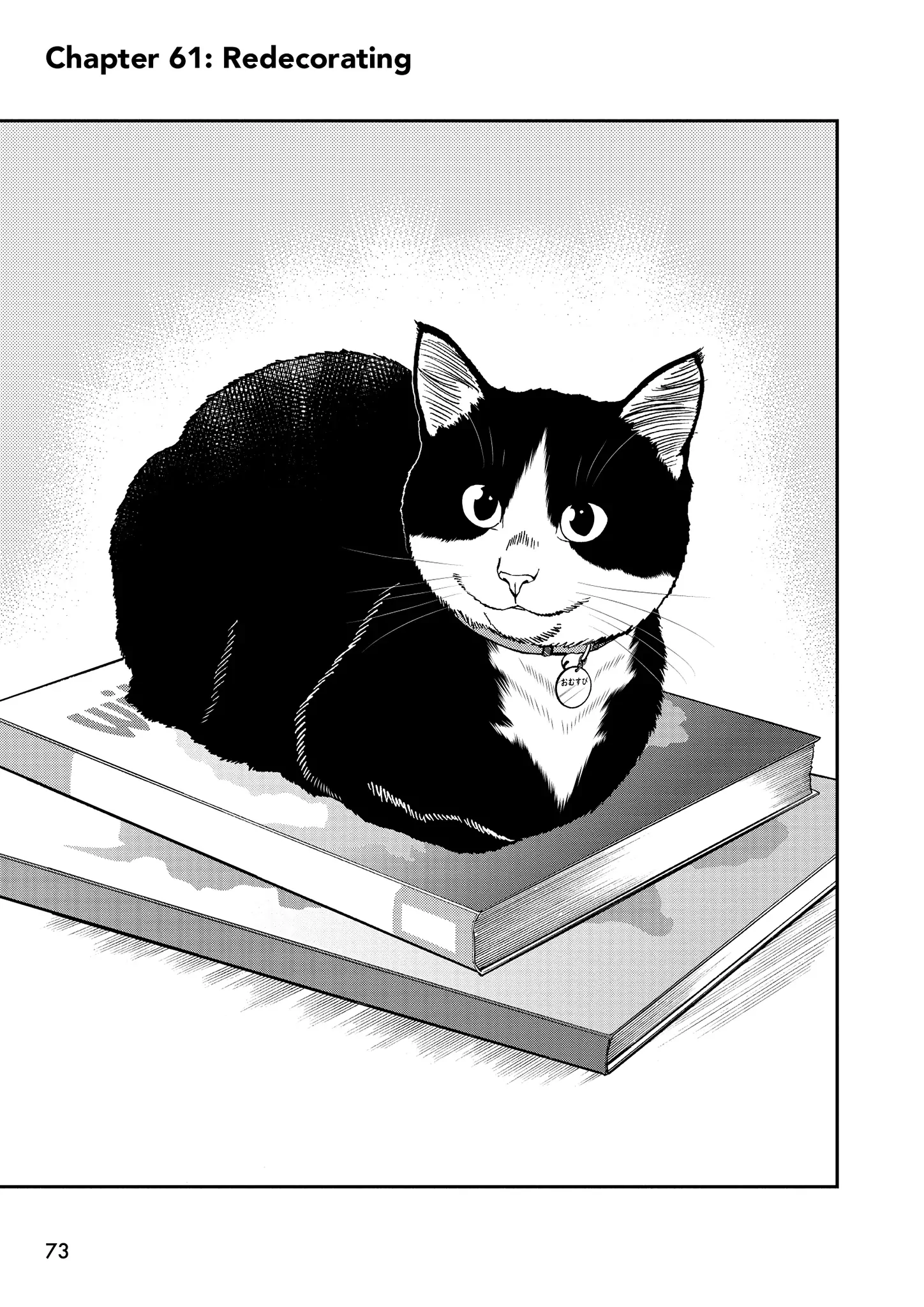 A Gamer Living With A Cat - Chapter 61