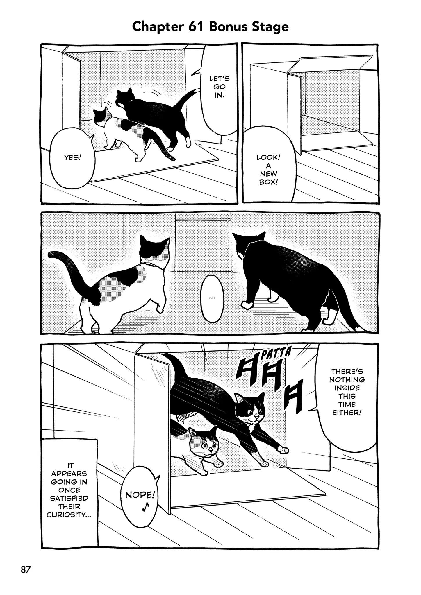 A Gamer Living With A Cat - Chapter 61