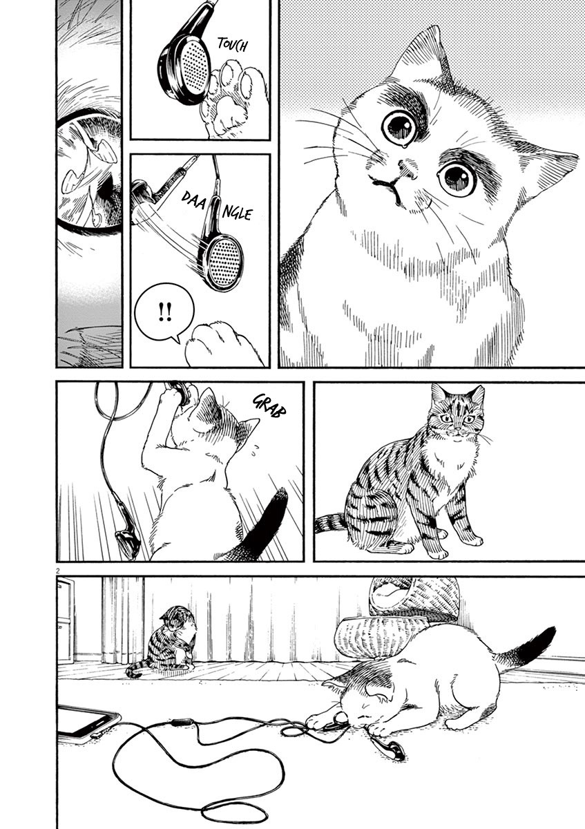 Neko No Otera No Chion-San - Vol.3 Chapter 23: An Eye On Browie And Chion