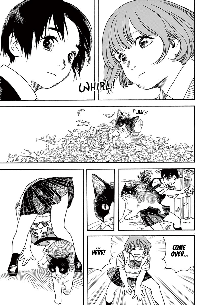 Neko No Otera No Chion-San - Vol.6 Chapter 49: Hazy Hiruma And Chion