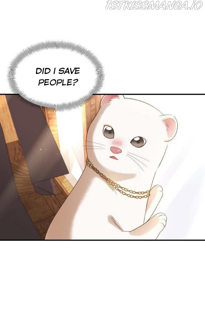 Death To The White Ferret Weasel - Chapter 14