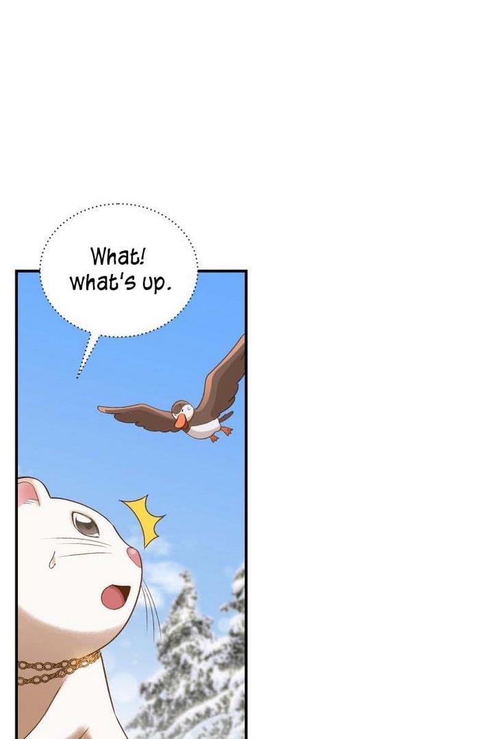 Death To The White Ferret Weasel - Chapter 13