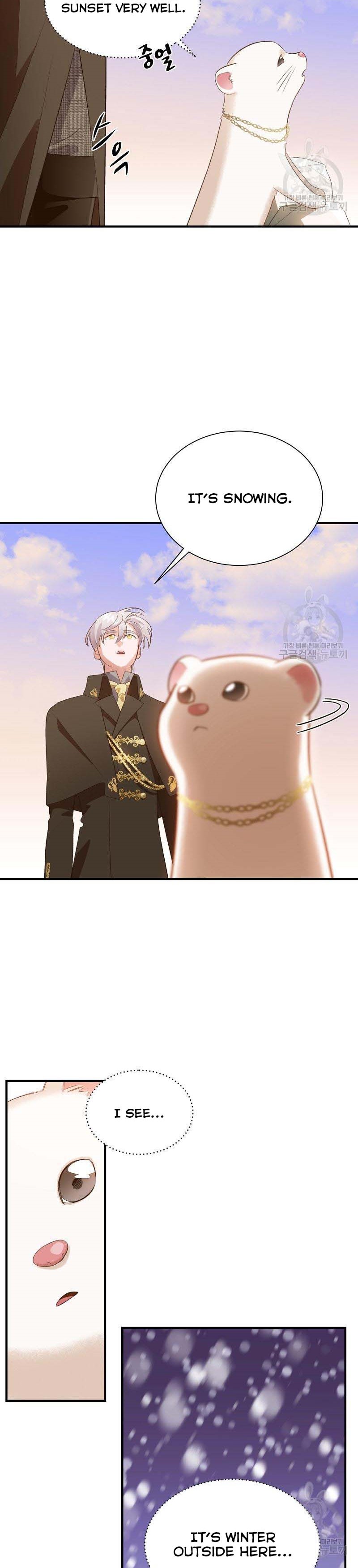 Death To The White Ferret Weasel - Chapter 29